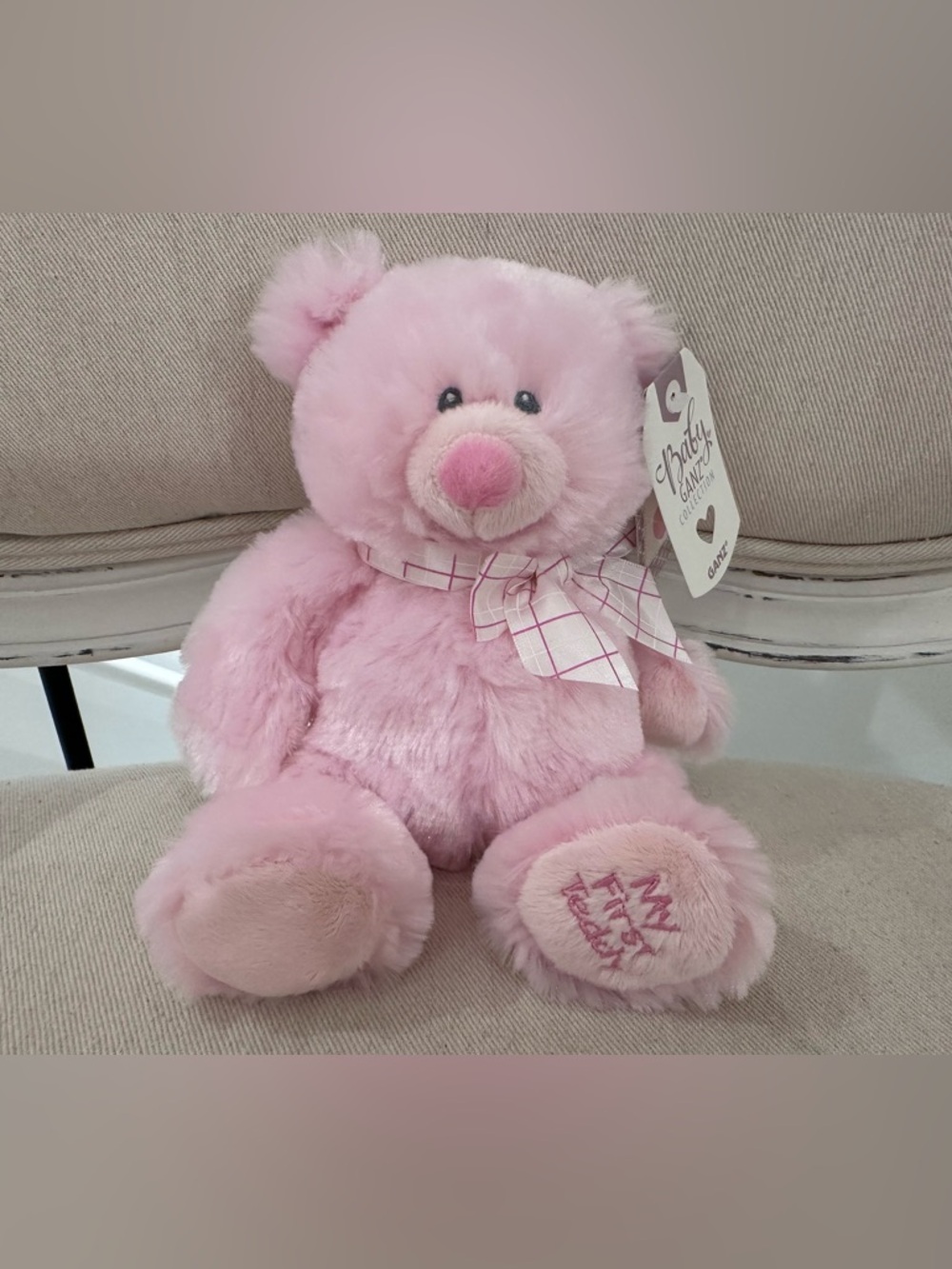 Baby Ganz My First Teddy Plush Stuffed Animal Pink Tags 9" inch NWT